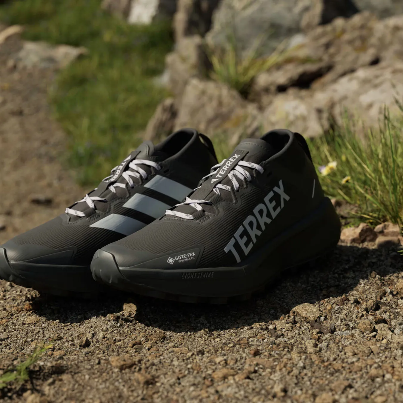 Adidas Terrex Damen Terrex Agravic Trailrunning-Schuhe GTX Schwarz