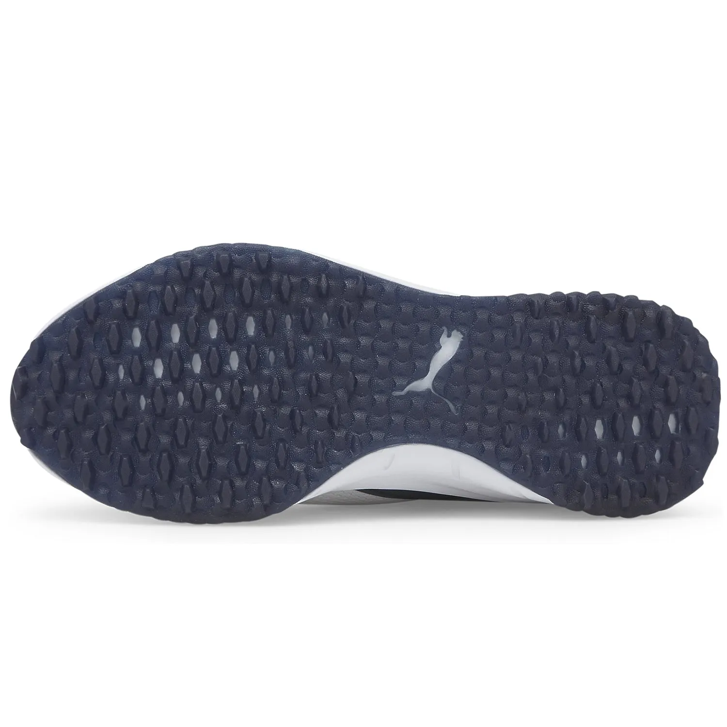 Puma Fusion Evo Golfschuhe 193850